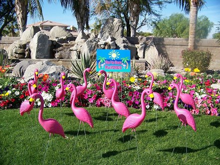 Flock of pink flamingo lawn ornaments